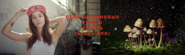 экстази Приозерск