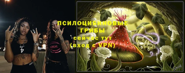 ГАЛЛЮЦИНОГЕННЫЕ ГРИБЫ Волосово