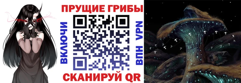 Галлюциногенные грибы GOLDEN TEACHER  Волжск 