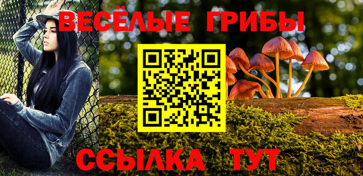 Волжск  Псилоцибиновые грибы Psilocybe  Псилоцибиновые грибы GOLDEN TEACHER  Вход с VPN 
