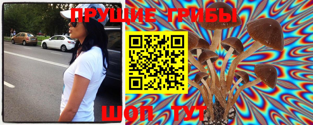 Галлюциногенные грибы мухоморы Волжск